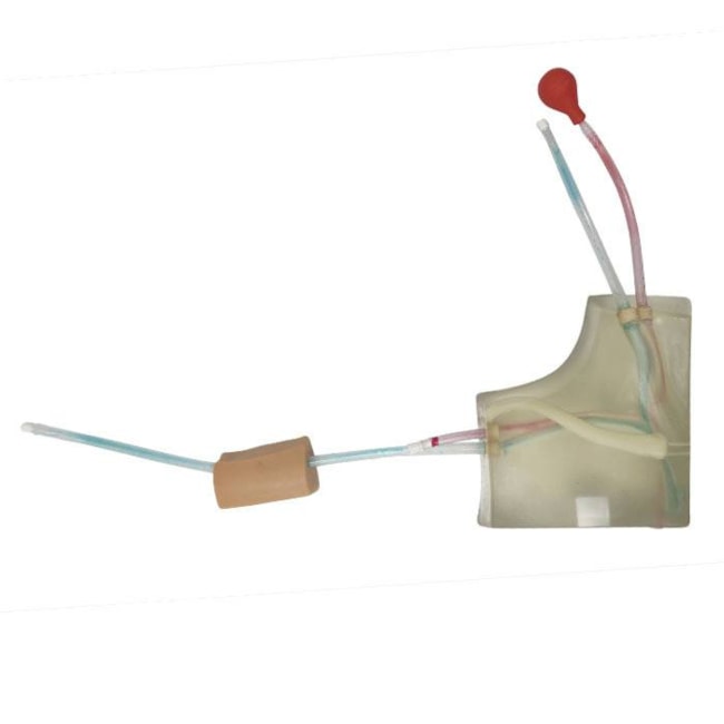 Simulador Torso para Treinamento de Cateterismo Venoso Central Guiado por Ultrassom-ebdbff9c-14aa-4c7a-92d1-c14f3b4644d9