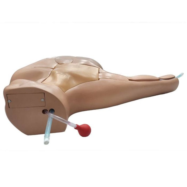 Simulador Torso para Treinamento de Cateterismo Venoso Central Guiado por Ultrassom-2d94089e-8852-4615-a4b0-53b52afde263
