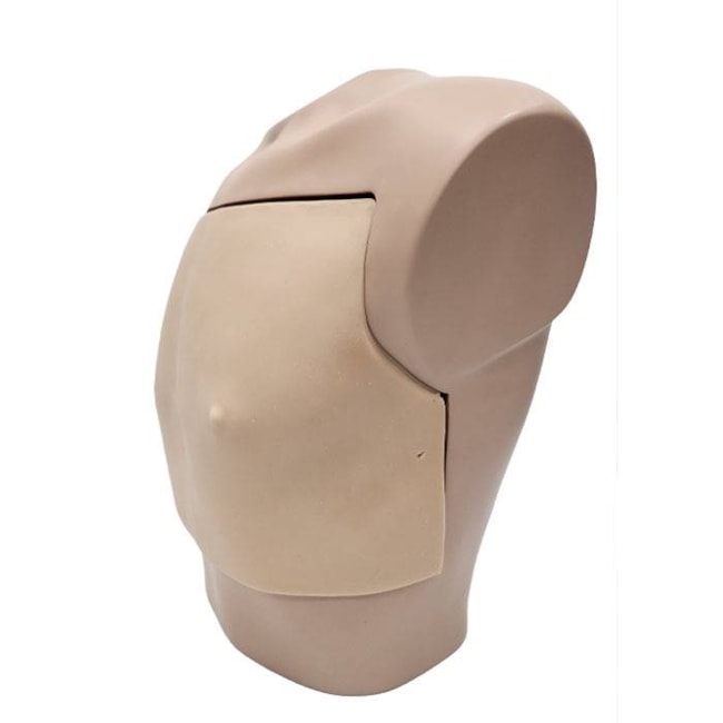 Simulador Torso para Treinamento de Punção Pericárdica Guiada por Ultrassom-3fdcd8eb-df01-4545-92ea-4b2537aa4289