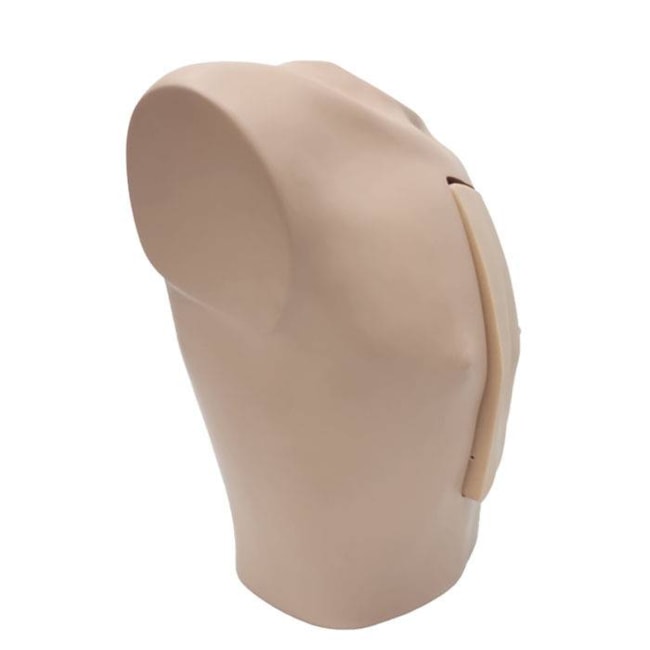 Simulador Torso para Treinamento de Punção Pericárdica Guiada por Ultrassom-fe6d82ca-d4e2-4438-a007-11caeebf9c8a