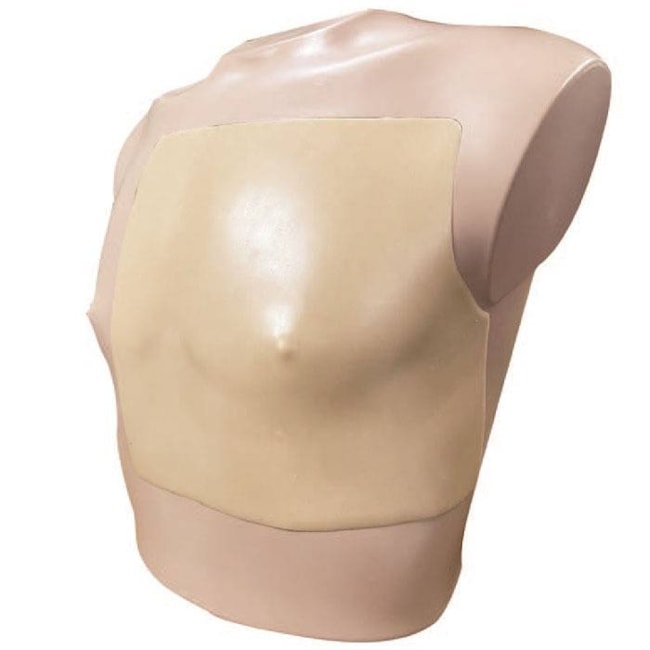 Simulador Torso para Treinamento de Punção Pericárdica Guiada por Ultrassom-487f5cbb-f459-4c38-804a-00c2a11e45f4