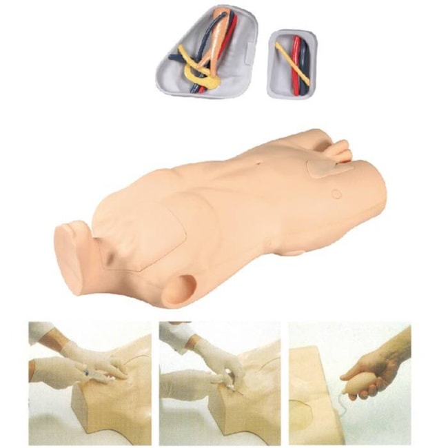 Simulador Torso para Treinamento de Punção Venosa Central-98bc28cc-ab2d-4b85-9662-f47d4432a984