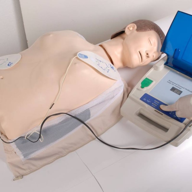 Simulador Torso para Treinamento RCP e DEA-29c32030-df4f-4b4c-80ae-0688f8597ec0