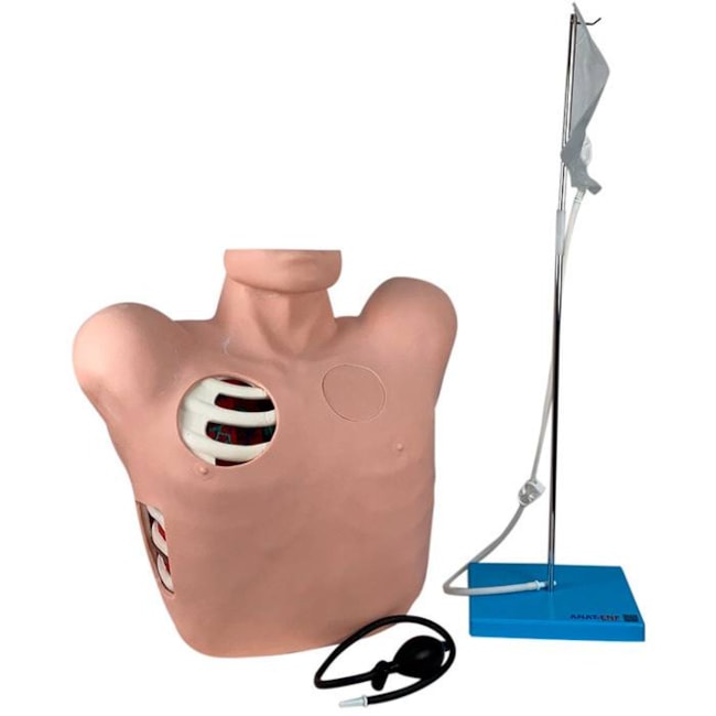 Simulador Torso para Treino de Drenagem Pleural-0371d15d-6d6a-4749-b9d4-20b7d79c3d6d