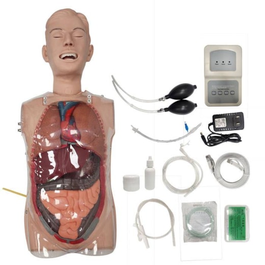Simulador Torso Transparente para Treinamento de Sondagem Nasogástrica
