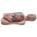 Simulador Torso Transparente para Treinamento de Sondagem Nasogástrica-bc29ed65-205c-47d3-a8b7-31e739fa0d01