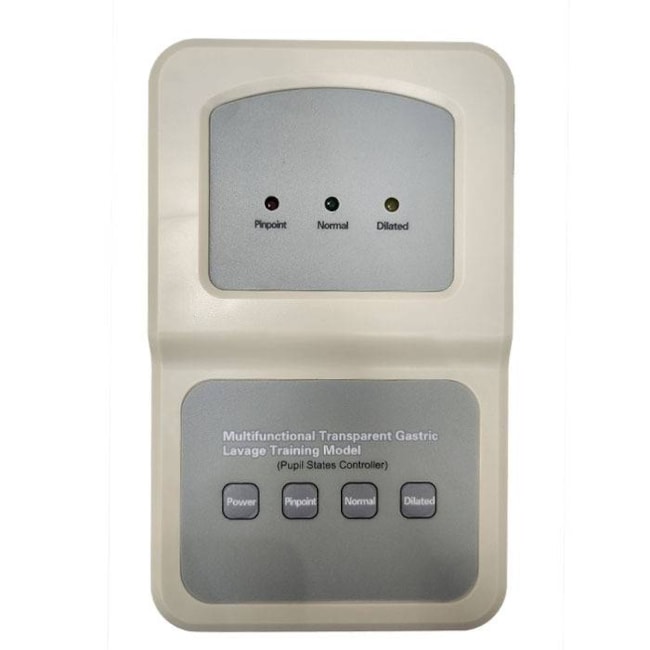 Simulador Torso Transparente para Treinamento de Sondagem Nasogástrica-32d13697-165f-40fa-b2a0-714b68e270ce