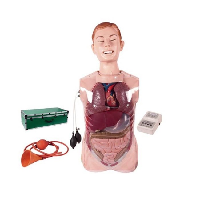 Simulador Torso Transparente para Treinamento de Sondagem Nasogástrica-aa4ab40b-15b5-494e-a3d7-d1328d6a3b08