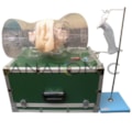Simulador Transparente de Curetagem-1beaaa1c-cf30-47c6-9e23-99fa289e1a07