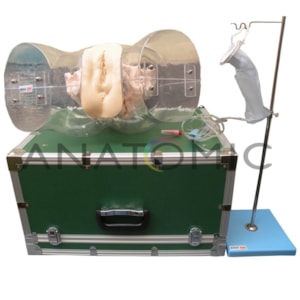 Simulador Transparente de Curetagem
