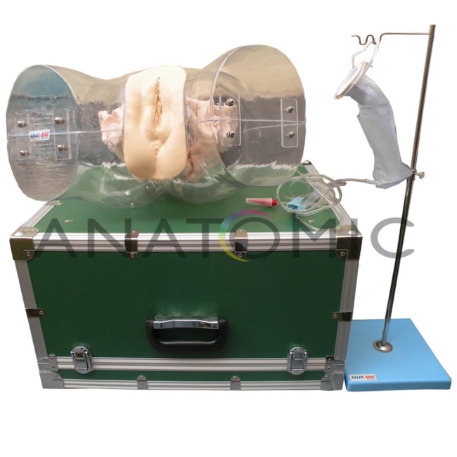 Simulador Transparente de Curetagem-9e6f3c44-b3b7-42e5-b1b7-ebebfe79af4d