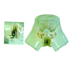 Simulador Transparente de Curetagem