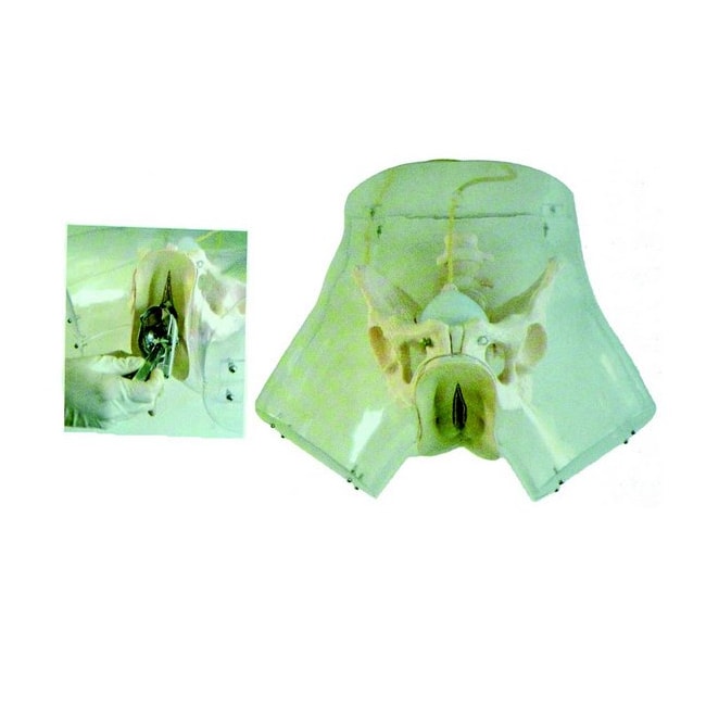 Simulador Transparente de Curetagem-f29f3633-17a1-4b43-bda5-854aecafa5d8