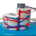 Sistema da Medula Espinhal Ampliado-af16bfdf-703c-4a7d-abc3-d5848f2f5518