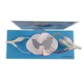 Sistema da Medula Espinhal Ampliado-6f88fa38-f376-4141-9904-fb2cd1bf52df