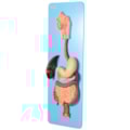 Sistema Digestório Luxo 3 partes-1e486d58-b2f4-4720-8bec-650b5f3537af