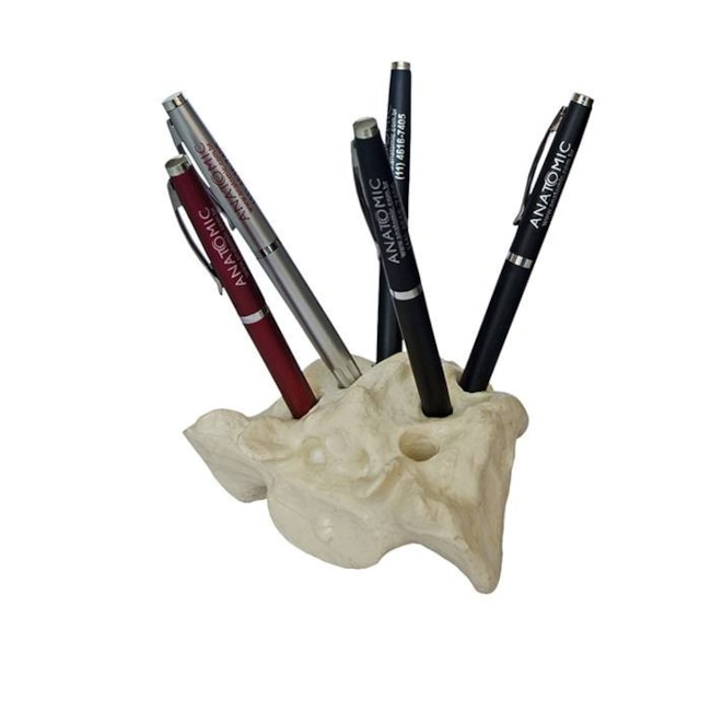 Suporte Anatômico para Canetas em Formato de Osso-043fd33a-852c-43d7-b07e-67cbd057edfe