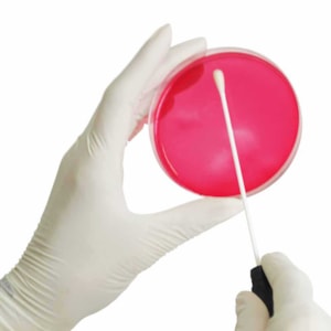 Swab Estéril Tubo Com Meio Amies Pacote com 100 Unidades