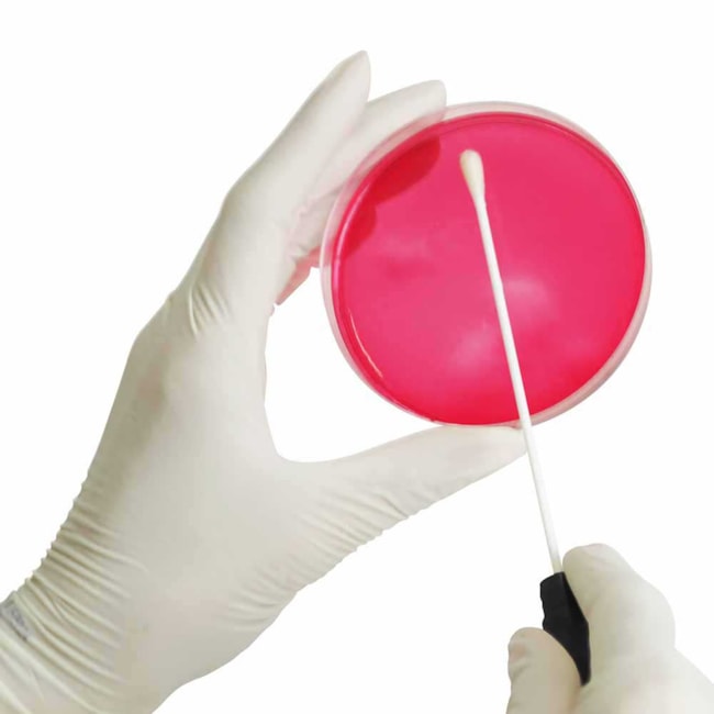 Swab Estéril Tubo Com Meio Amies Pacote com 100 Unidades-8f184e47-fdd0-4dc4-9b85-e5ec93728149