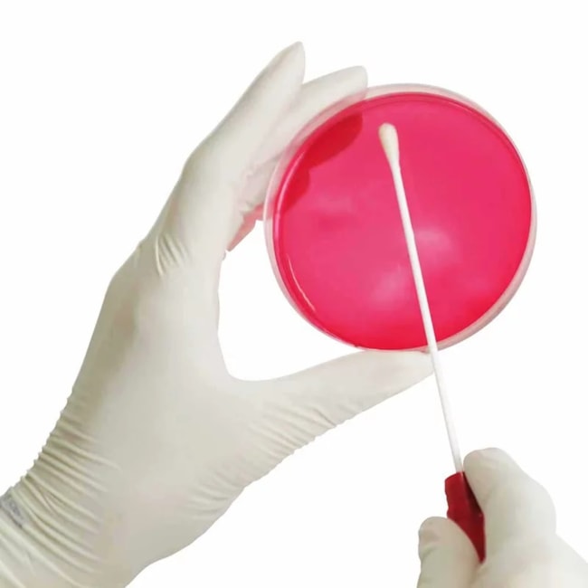 Swab Estéril Tubo Com Meio Cary-blair Pacote com 100 Unidades-63355f9b-3425-4d7f-ac3f-6a5878a7b128