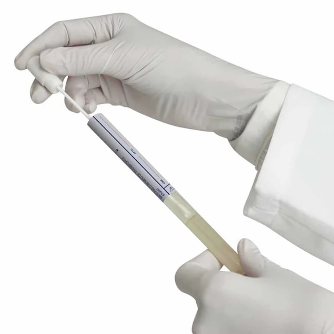 Swab Estéril Tubo Com Meio Stuart Pacote com 100 Unidades-46b58080-0f35-432e-8f61-57c12e5e7a84