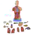 Torso 28cm Assexuado 15 Partes-60e708e5-cb6c-4830-a5d1-e8373cfb5b15