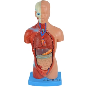 Torso 28cm Assexuado 15 Partes