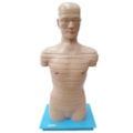 Torso em Disco Corte Axial 20 Partes-8db93e9a-91fa-491d-b851-4cf8270545d9