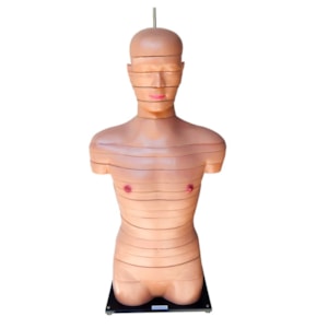 Torso em Disco Corte Axial 20 Partes