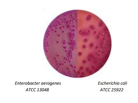 agar macckonkey modo de uso
