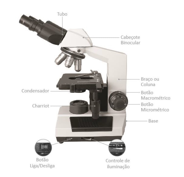 microscópio manual de instruções