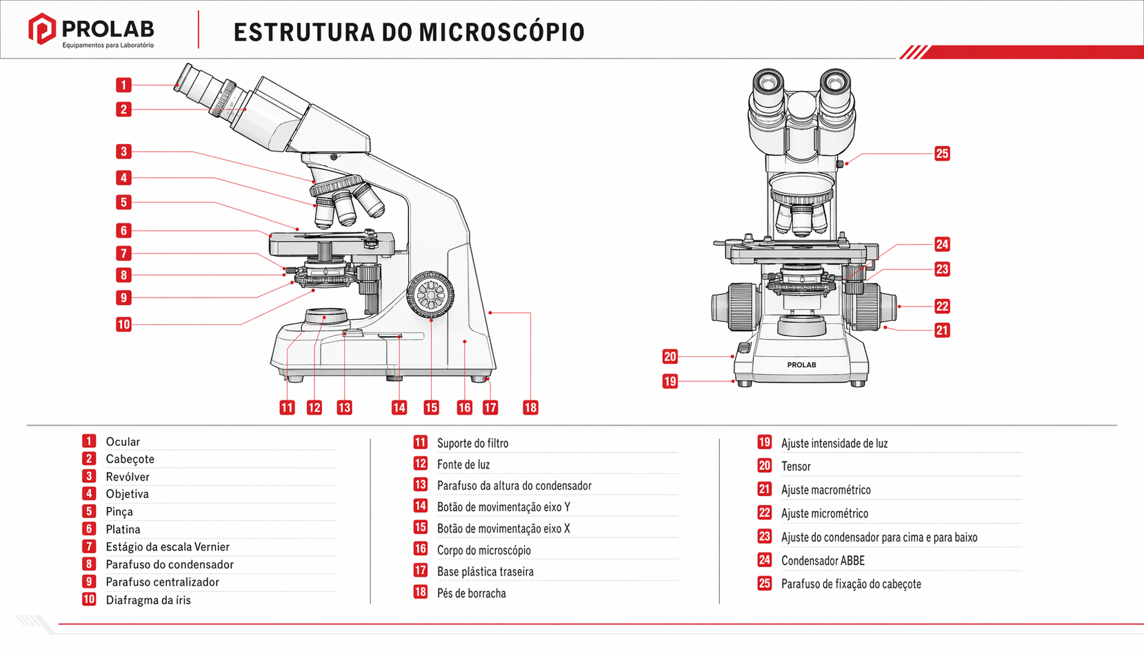 Microscópio Biológico Binocular LC1600BA em uso – passo a passo de operação