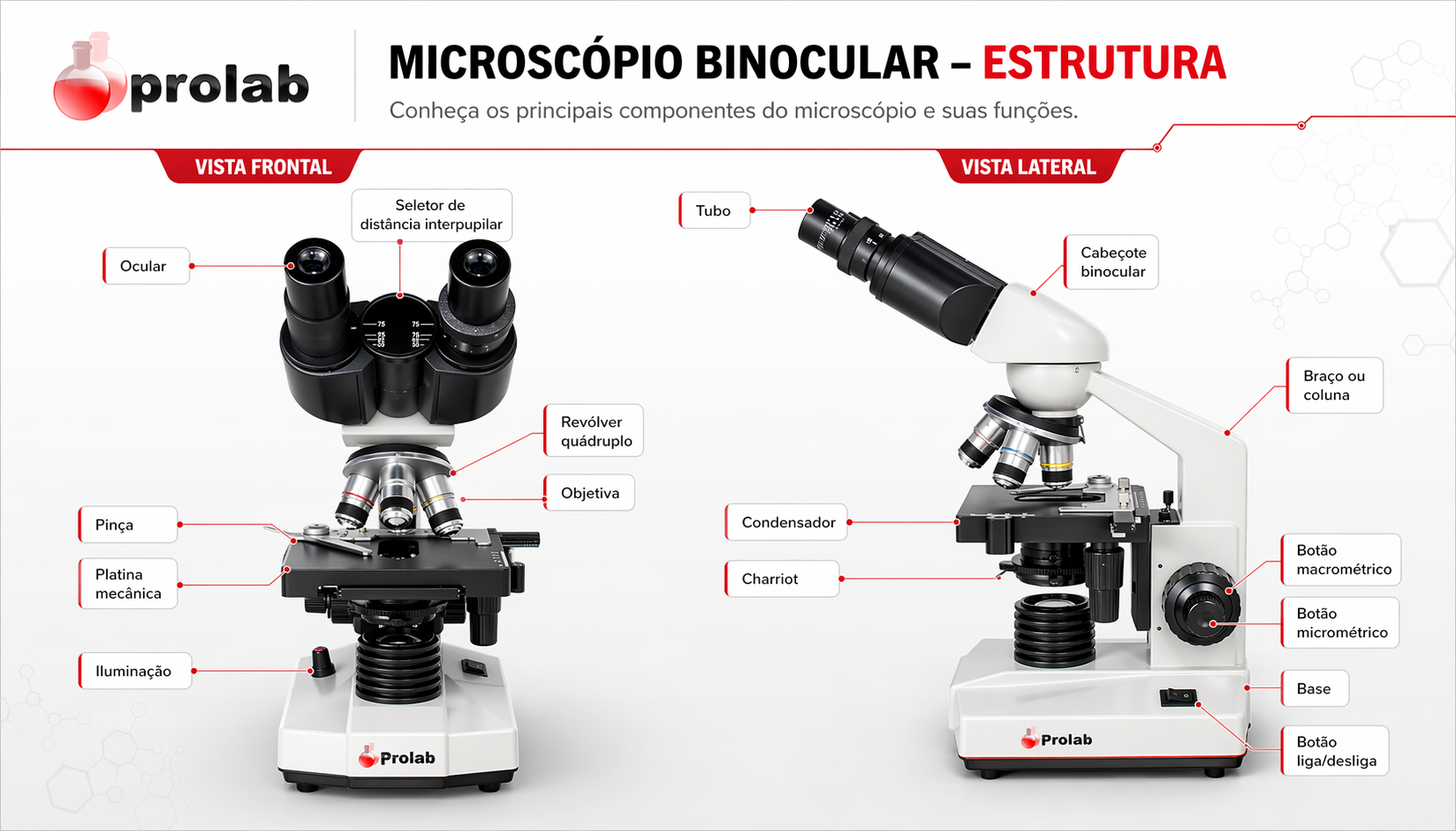 Identificação das partes do Microscópio Biológico Binocular Prolab Eco K55-BSA